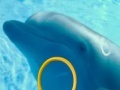 Hra Dolphin Tale 2 Hidden Alphabets