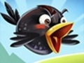 Hra Crazy Birds 2