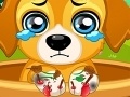 Hra Paw Doctor