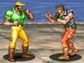 Hra Hardest Fighter 2