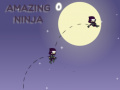 Hra Amazing Ninja