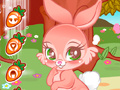 Hra Cute Bunny