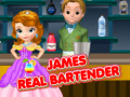 Hra James Real Bartender