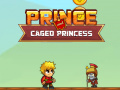 Hra Prince and Caged Princess  