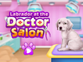 Hra Labrador at the doctor salon    