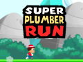 Hra Super Plumber Run