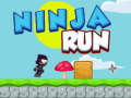 Hra Ninja Run 