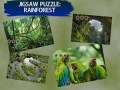 Hra Jigsaw Puzzle Rain Forest 