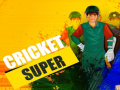 Hra Super Cricket      