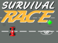 Hra Survival Race