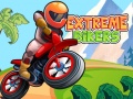 Hra Extreme Bikers