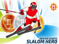 Hra Winter Sports: Slalom Hero