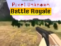 Hra Pixel Unknown Battle Royale