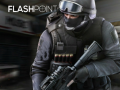 Hra Flashpoint