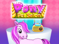 Hra Pony Pet Salon