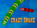Hra Crazy Snake