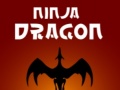 Hra Ninja Dragon