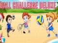 Hra Ball Challenge Deluxe