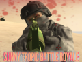 Hra Sunny Tropic Battle Royale