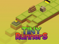 Hra Tiny RunnerS