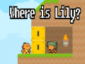 Hra Where is Lily?