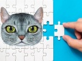 Hra Abyssinian Puzzle Challenge