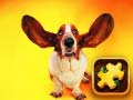 Hra Funny Dogs Puzzle
