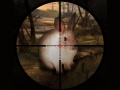 Hra Classical Rabbit Sniper Hunting 2019