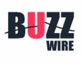 Hra Buzz Wire