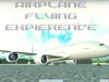 Hra Airplane Flying Expierence