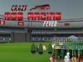 Hra Crazy Dog Racing Fever