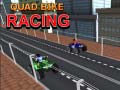 Hra Quad Bike Racing