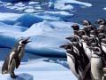 Hra Penguins Slide