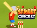 Hra Street Cricket