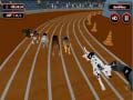 Hra Crazyl Dog Racing Fever