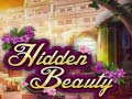 Hra Hidden Beauty