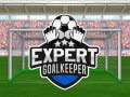 Hra Expert Goalkeeper