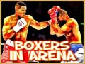 Hra Boxers in Arena