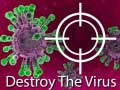 Hra Destroy The Virus