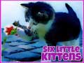 Hra Six Little Kittens