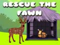 Hra Rescue the fawn