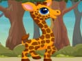 Hra Giraffe Jigsaw