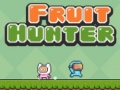 Hra Fruit Hunter