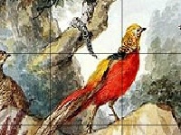 Hra Birds in the wood