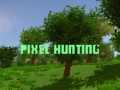 Hra Pixel Hunting