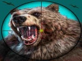 Hra Wild Bear Hunting