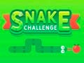 Hra Snake Challenge