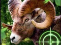 Hra Crazy Goat Hunter 2020