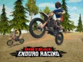 Hra Dirt Bike Enduro Racing