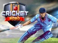 Hra Cricket 2020